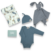 Romper & Bunny Premium Baby Boy Hamper